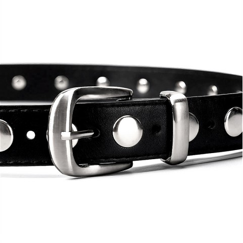 Heavy Duty Riveted Belt
