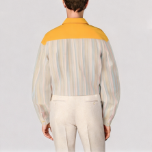 Animal Embroidered Striped Shirt