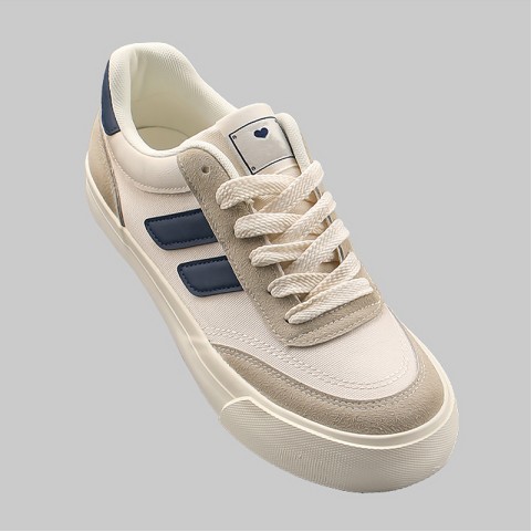 Casual Canvas Shoes